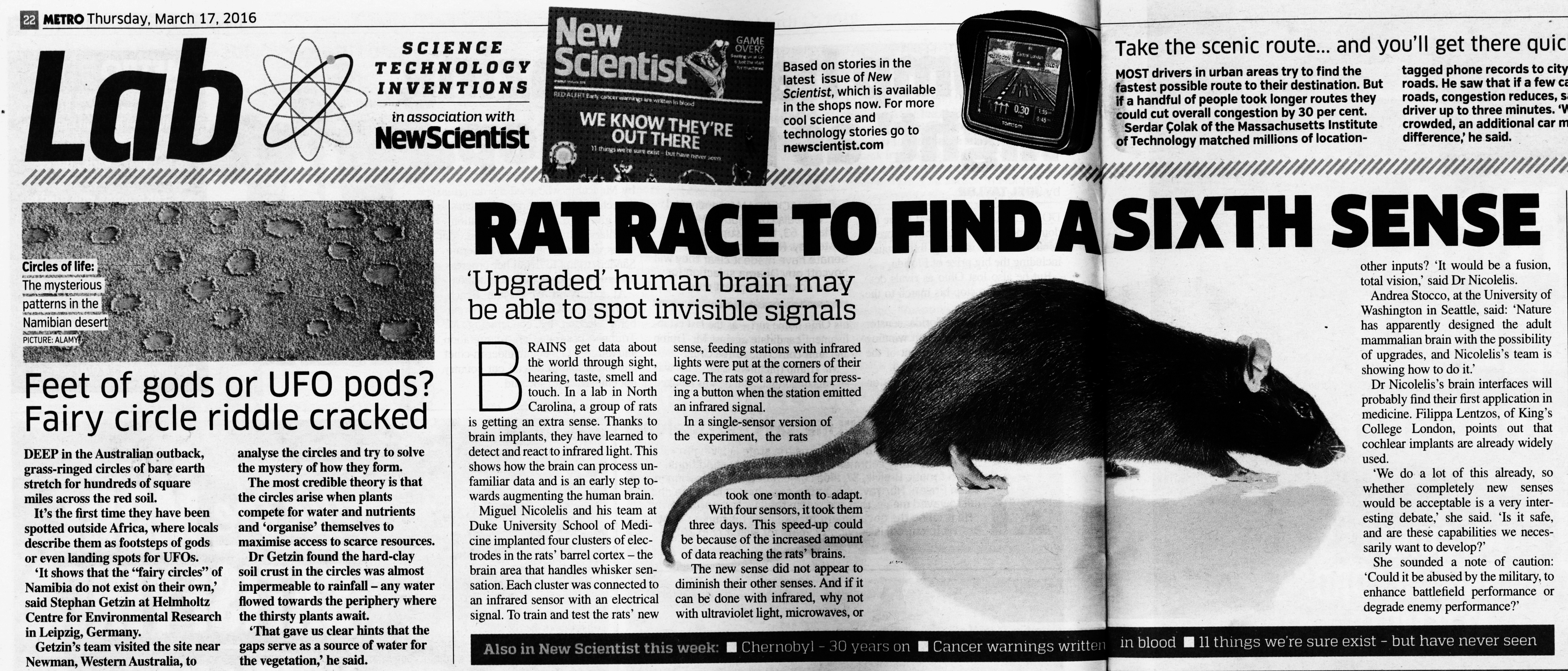 Rat Man Era
